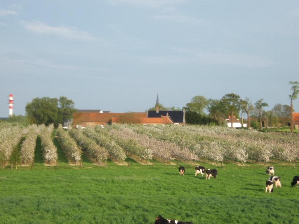 La Vallee Des Trois Monts Saint-Sylvestre-Cappel Luaran gambar